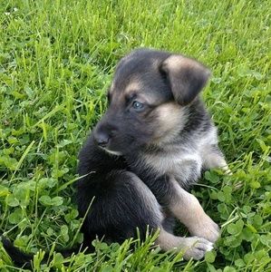 Meet your Posher, Debra